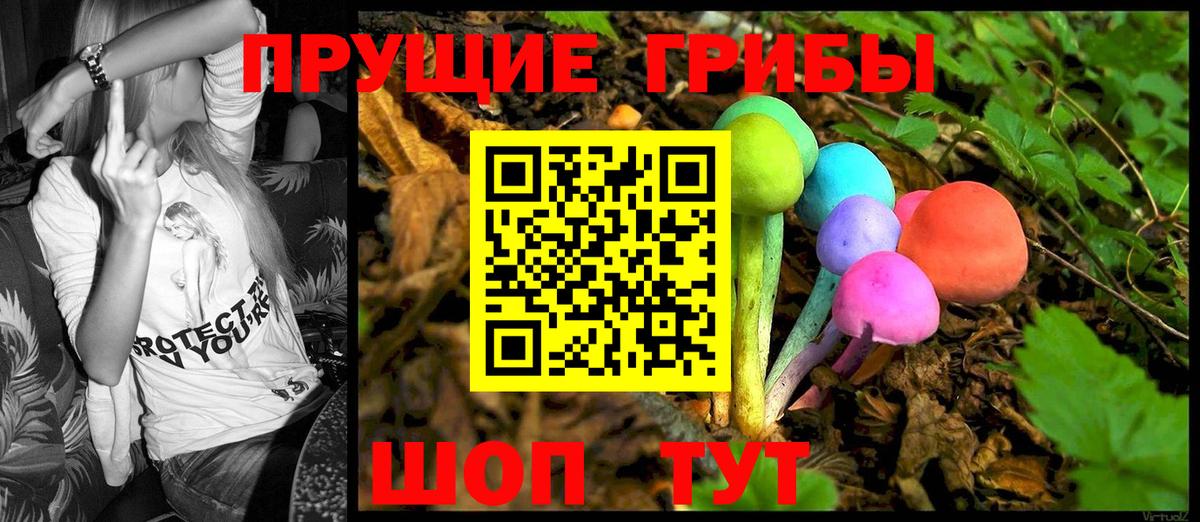 Ялуторовск  Псилоцибиновые грибы GOLDEN TEACHER  Вход с VPN 
